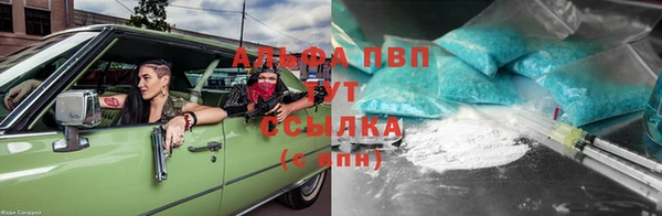 прущие грибы Балабаново