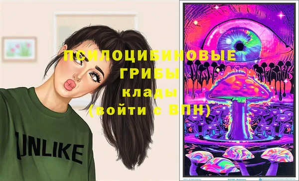 ПСИЛОЦИБИНОВЫЕ ГРИБЫ Аркадак
