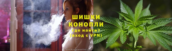 ПСИЛОЦИБИНОВЫЕ ГРИБЫ Аркадак