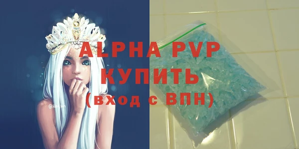 прущие грибы Балабаново