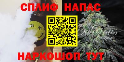 сатива Коммунар