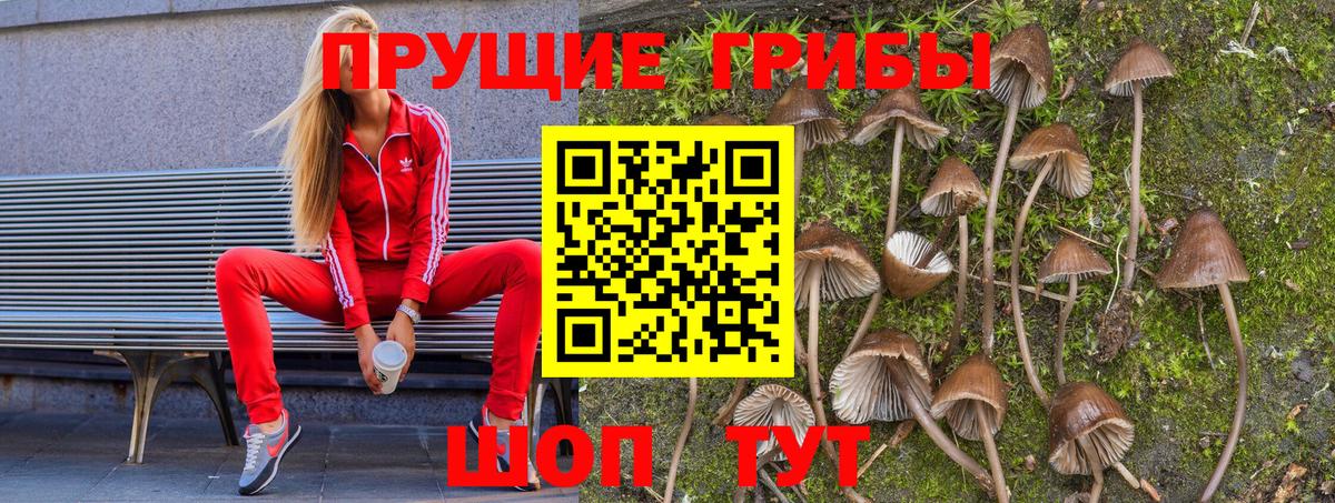 Псилоцибиновые грибы Psilocybine cubensis  Вход с VPN  Ейск 