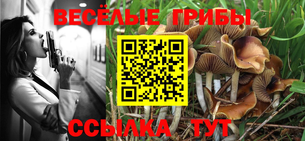 ГАШ  Вход с VPN  Марихуана  Ейск  Меф кристаллы 